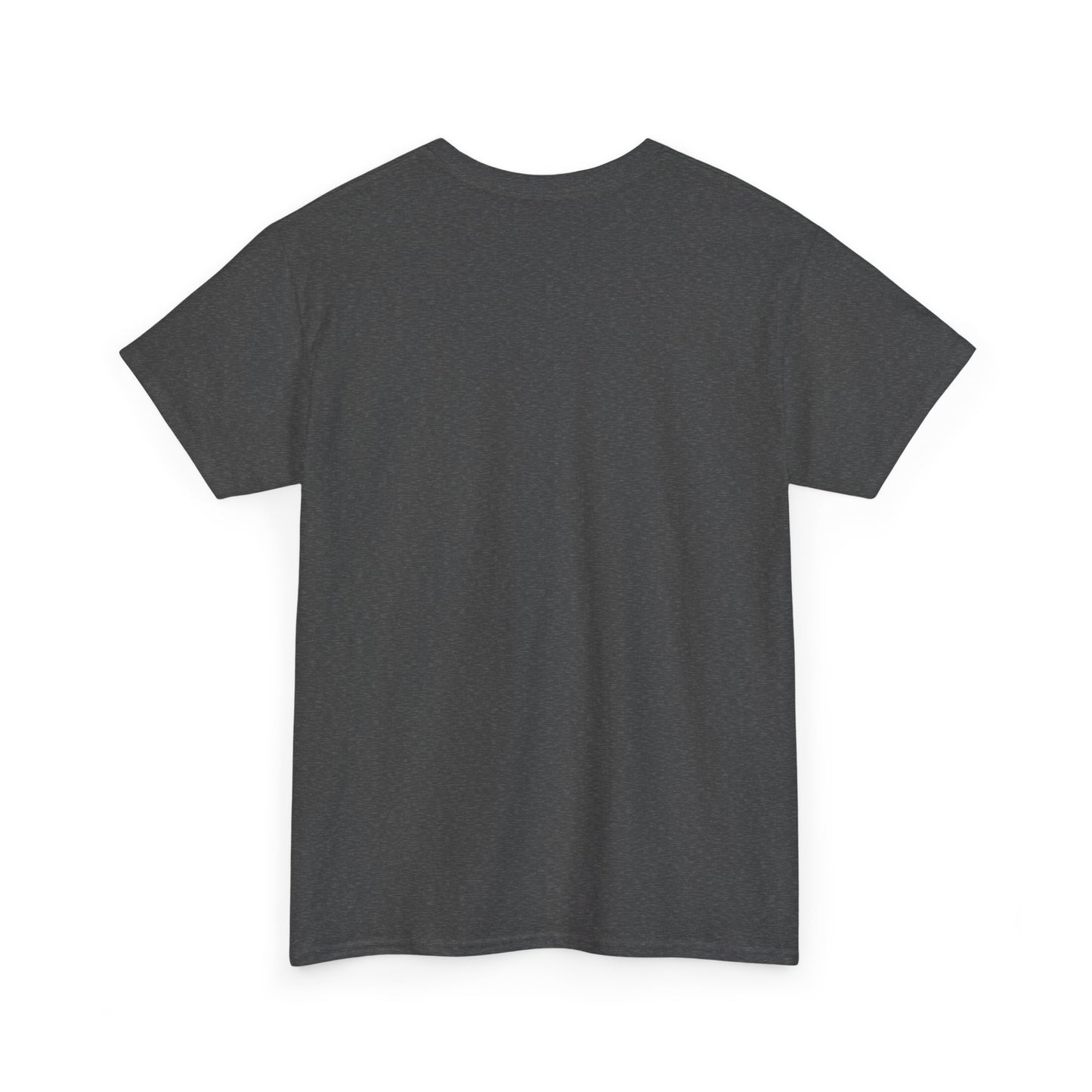Basic T-Shirt Daily Wear Unisex Heavy Cotton Tee Simple DRYMTN Original