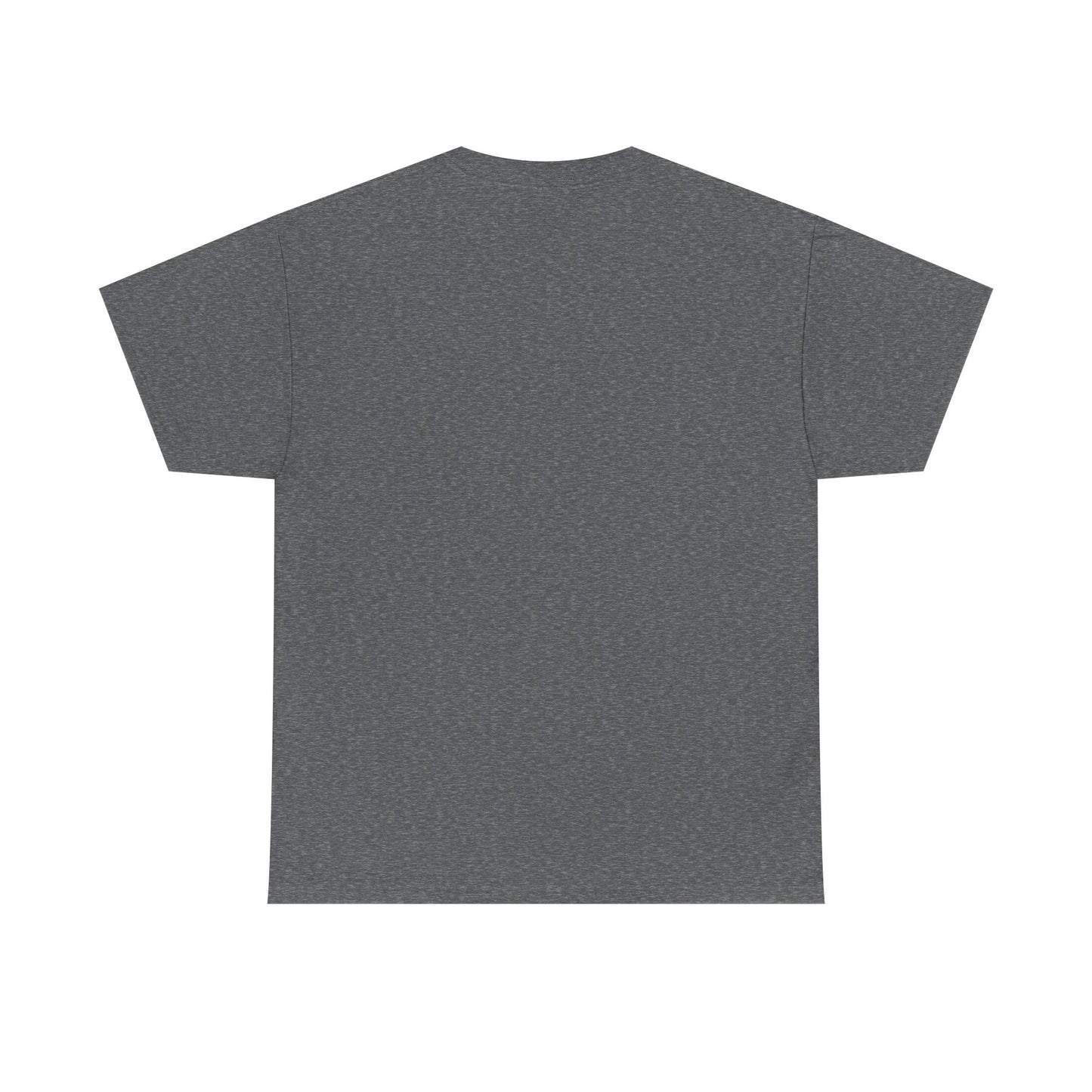 Basic T-Shirt Daily Wear Unisex Heavy Cotton Tee Simple DRYMTN Original