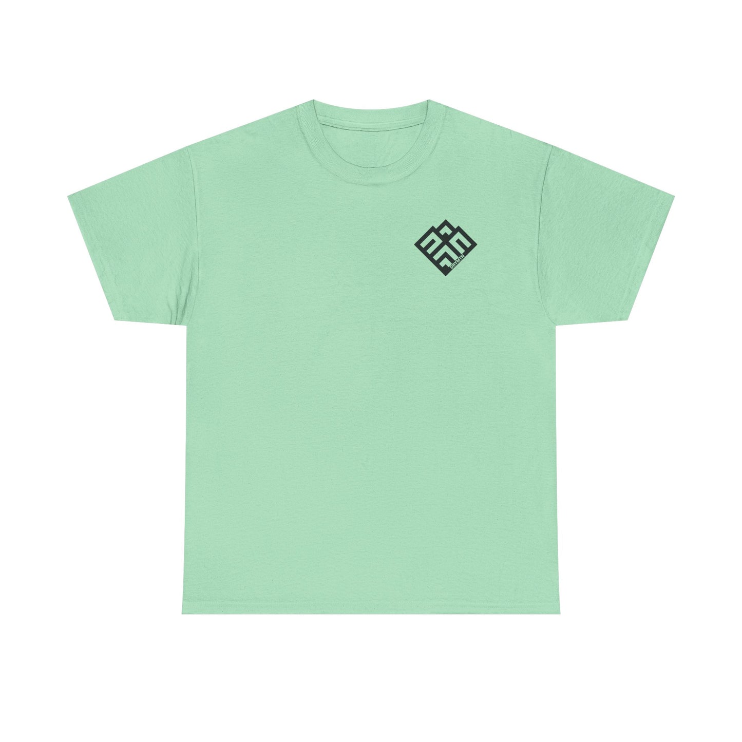 Basic T-Shirt Daily Wear Unisex Heavy Cotton Tee Simple DRYMTN Original