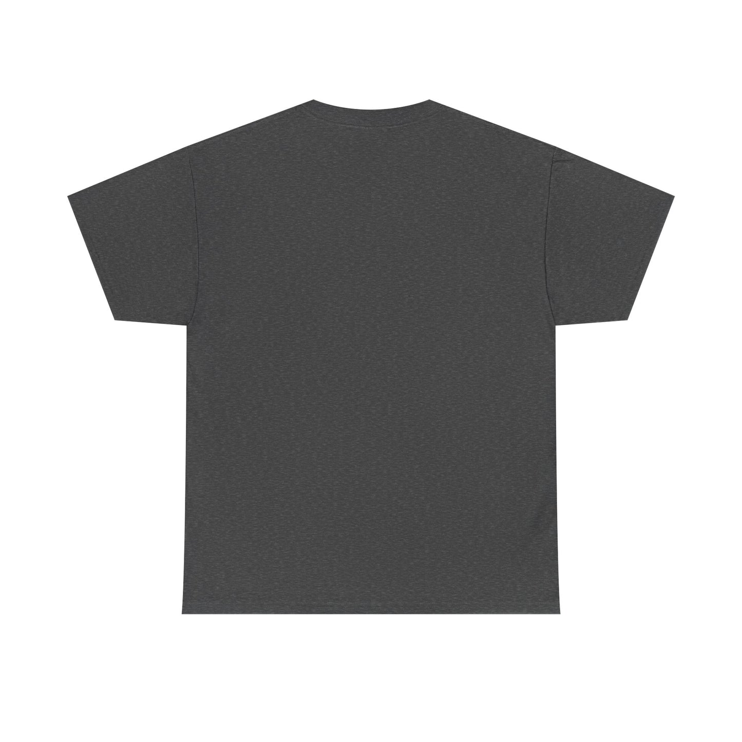 Basic T-Shirt Daily Wear Unisex Heavy Cotton Tee Simple DRYMTN Original