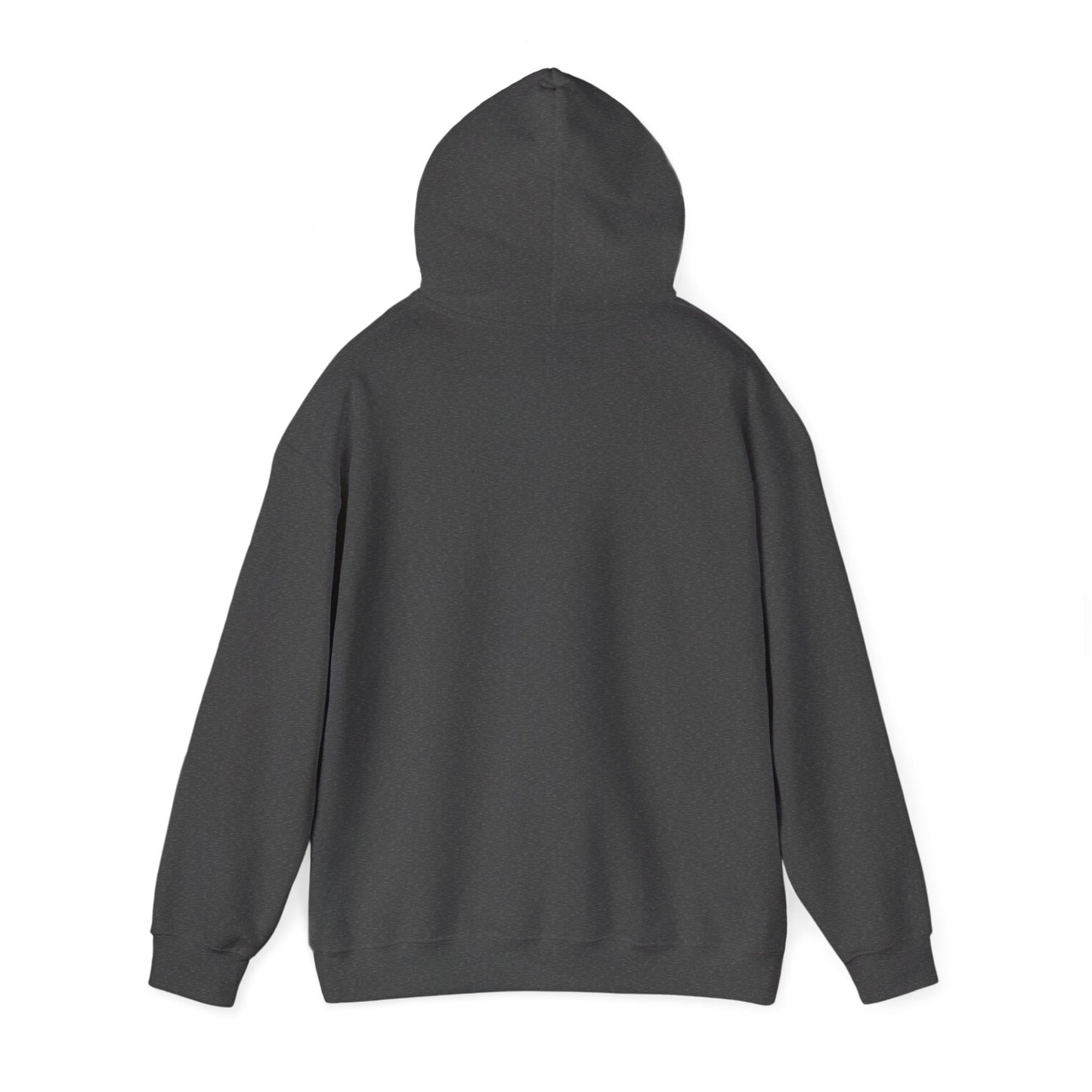 DRYMTN Geo-Peak Hoodie: Your Go-To Hoodie for Those Who Do