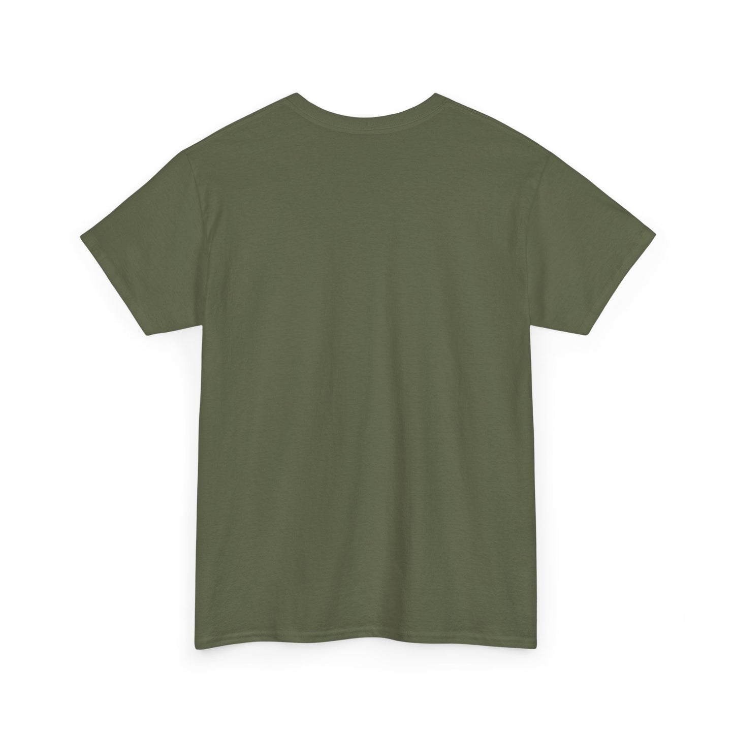 Basic T-Shirt Daily Wear Unisex Heavy Cotton Tee Simple DRYMTN Original