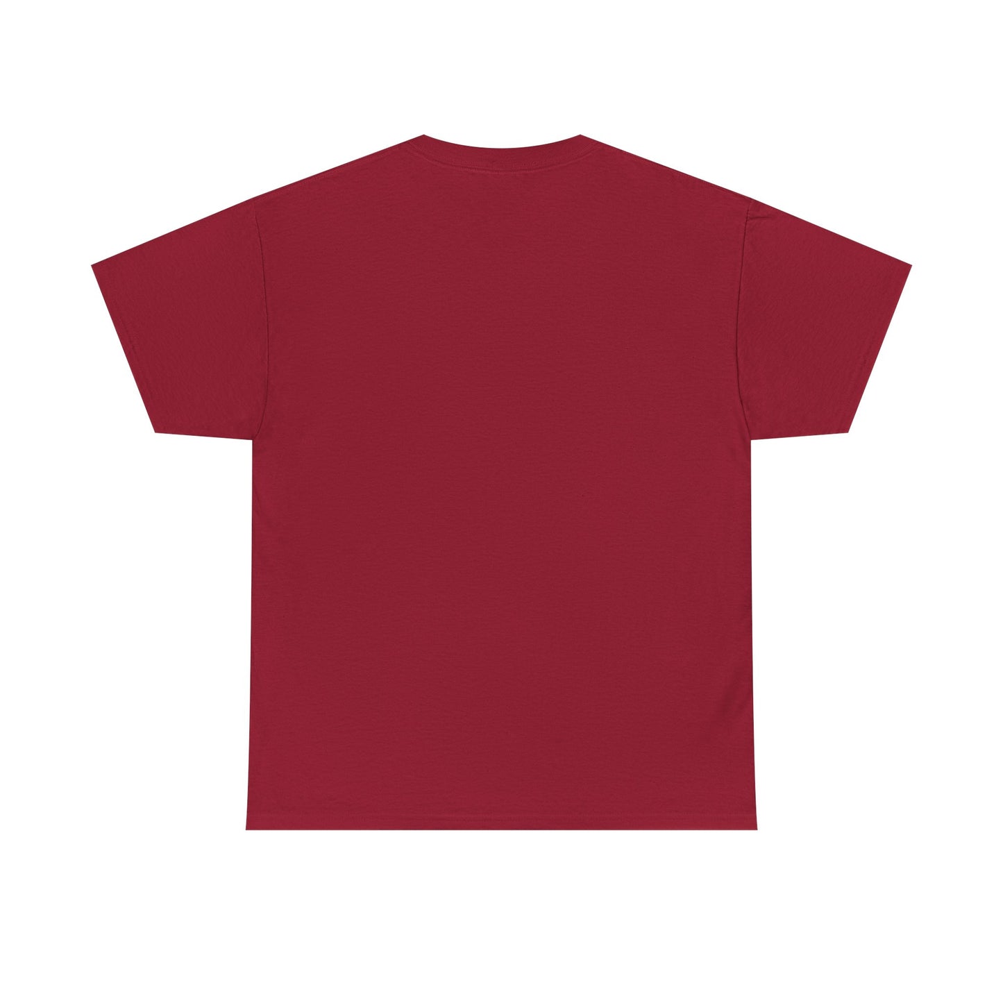 Basic T-Shirt Daily Wear Unisex Heavy Cotton Tee Simple DRYMTN Original