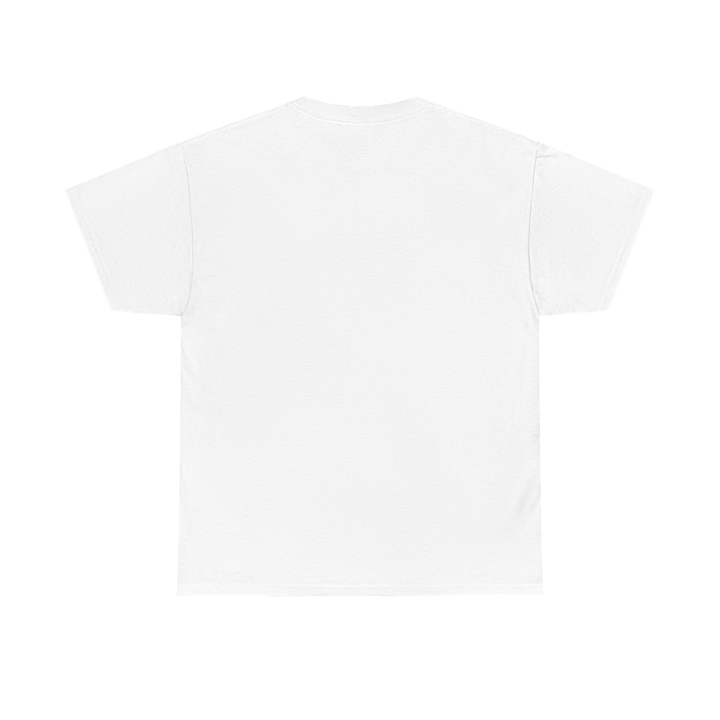 Basic T-Shirt Daily Wear Unisex Heavy Cotton Tee Simple DRYMTN Original