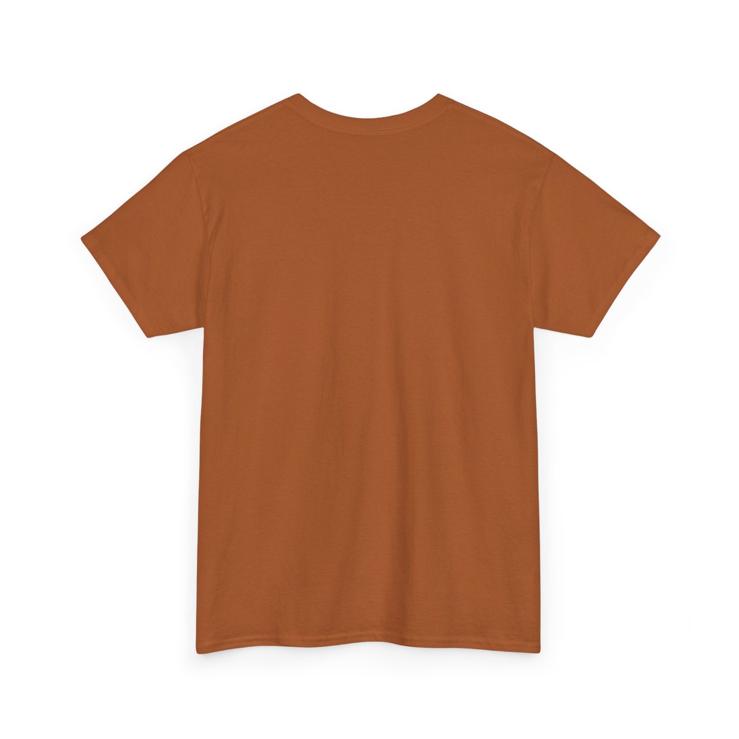 Basic T-Shirt Daily Wear Unisex Heavy Cotton Tee Simple DRYMTN Original