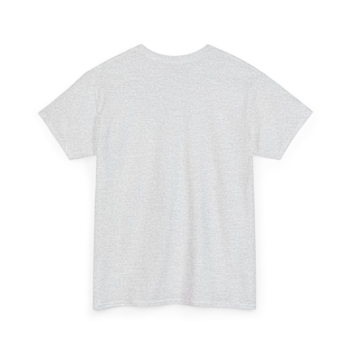 Basic T-Shirt Daily Wear Unisex Heavy Cotton Tee Simple DRYMTN Original