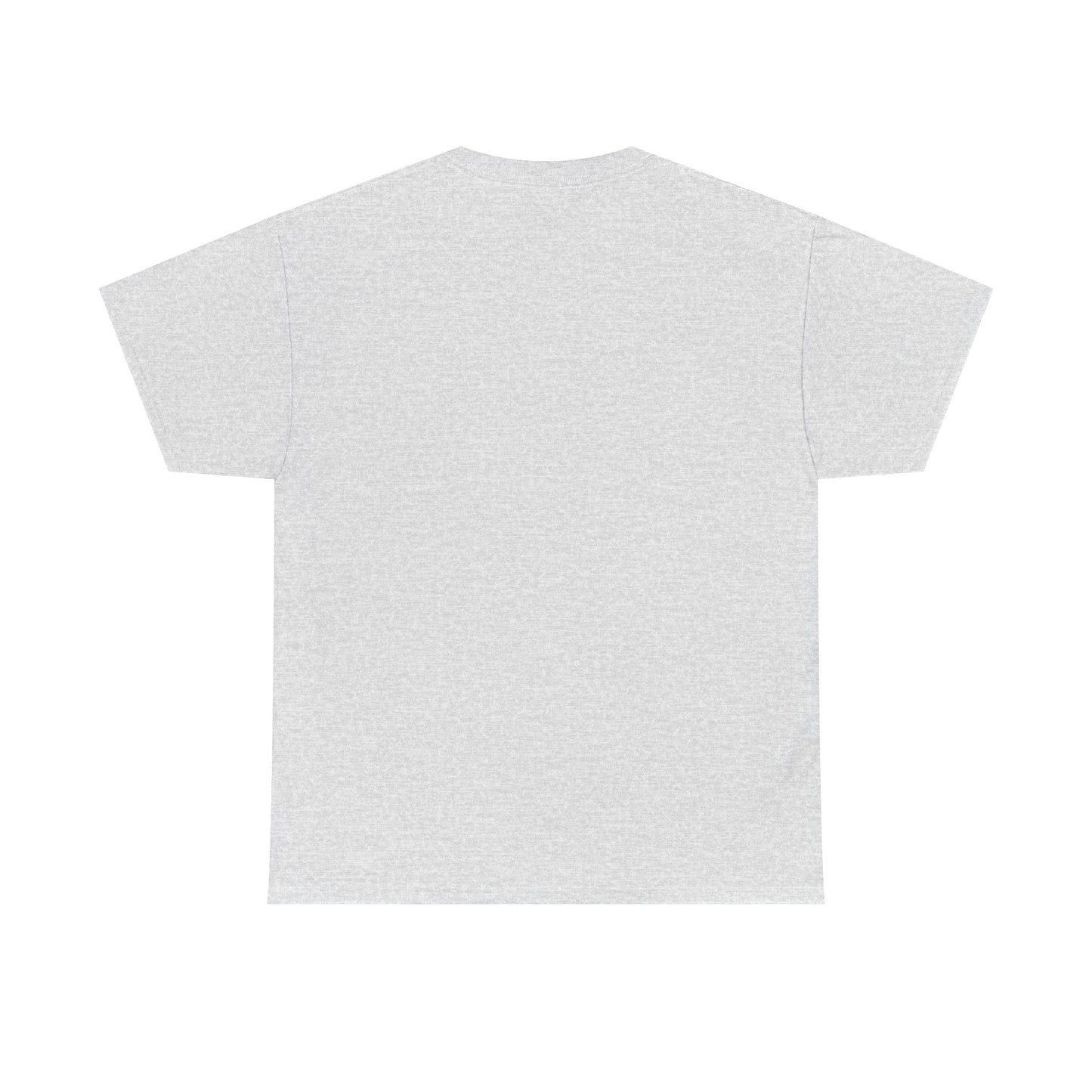 Basic T-Shirt Daily Wear Unisex Heavy Cotton Tee Simple DRYMTN Original