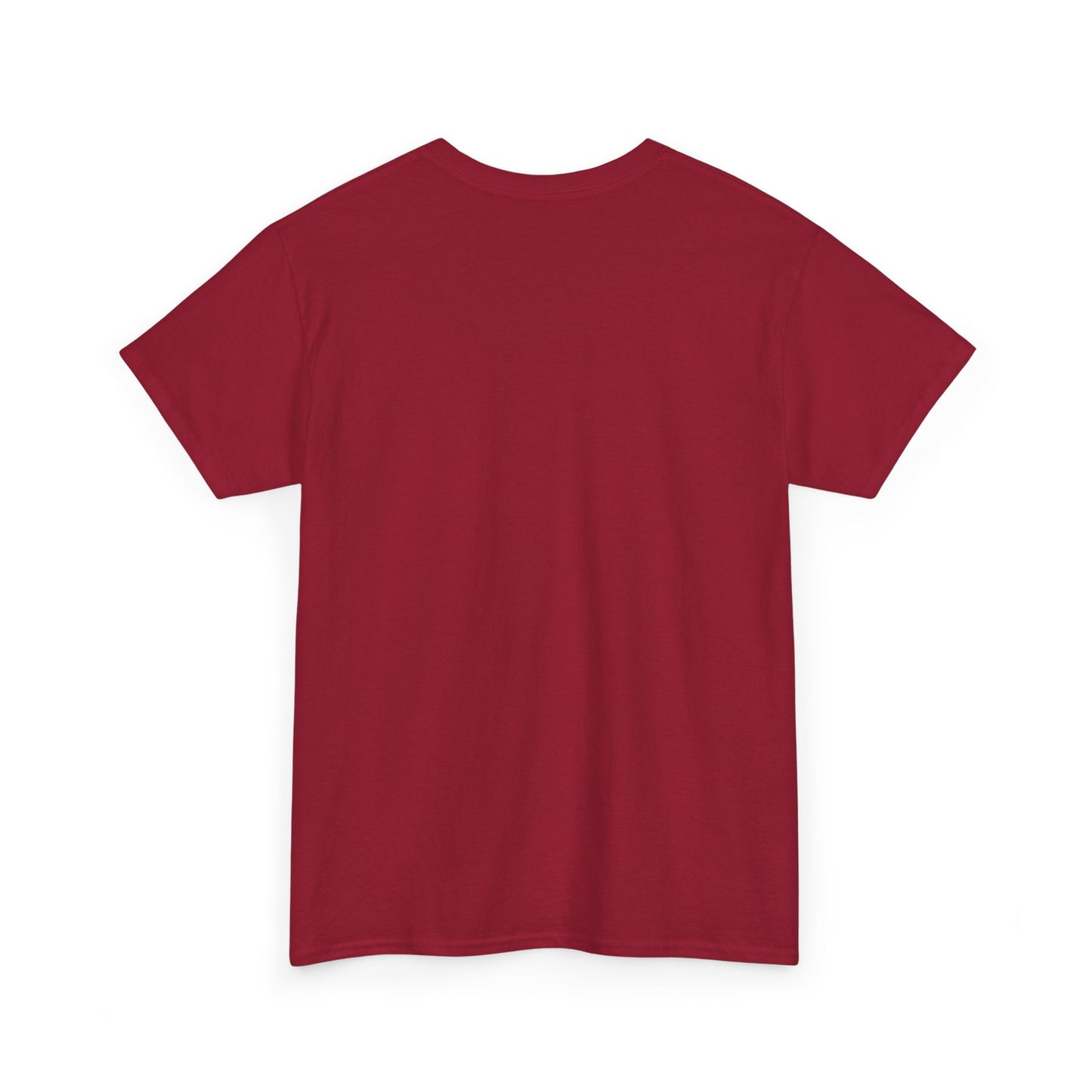 Basic T-Shirt Daily Wear Unisex Heavy Cotton Tee Simple DRYMTN Original