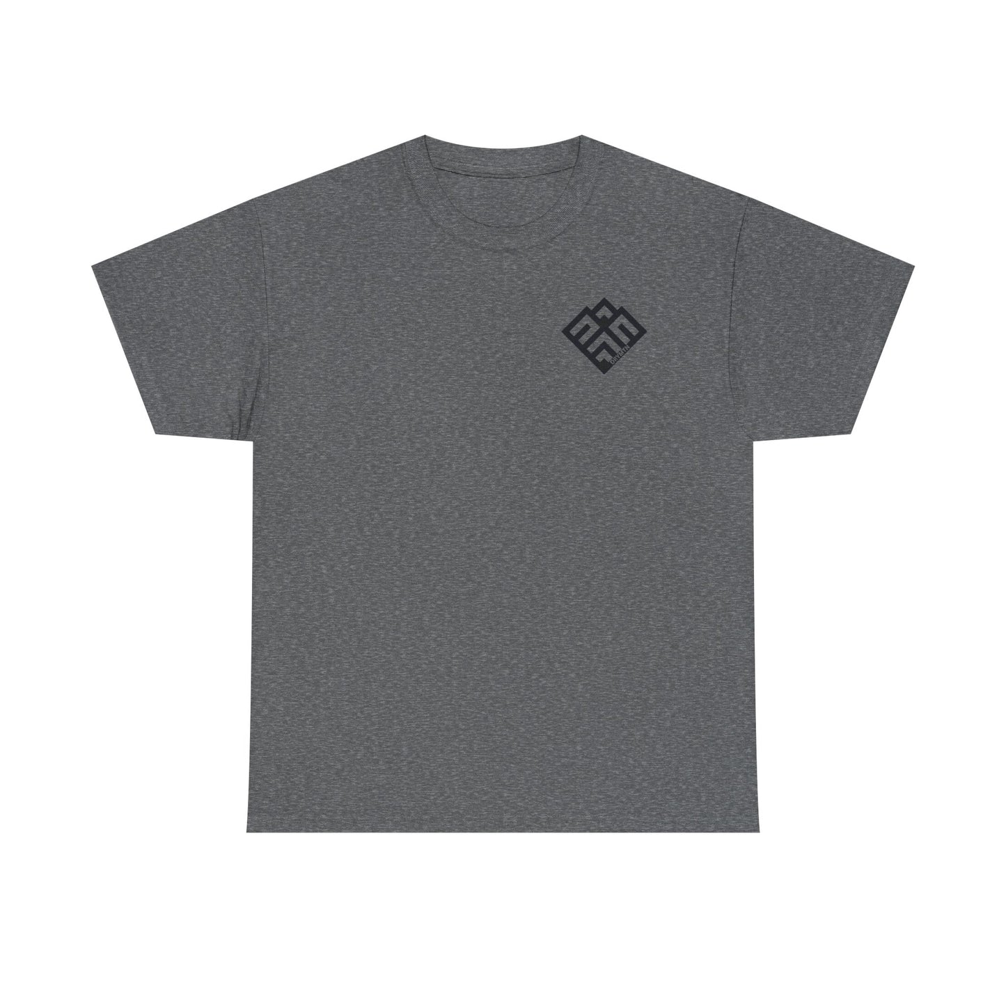 Basic T-Shirt Daily Wear Unisex Heavy Cotton Tee Simple DRYMTN Original