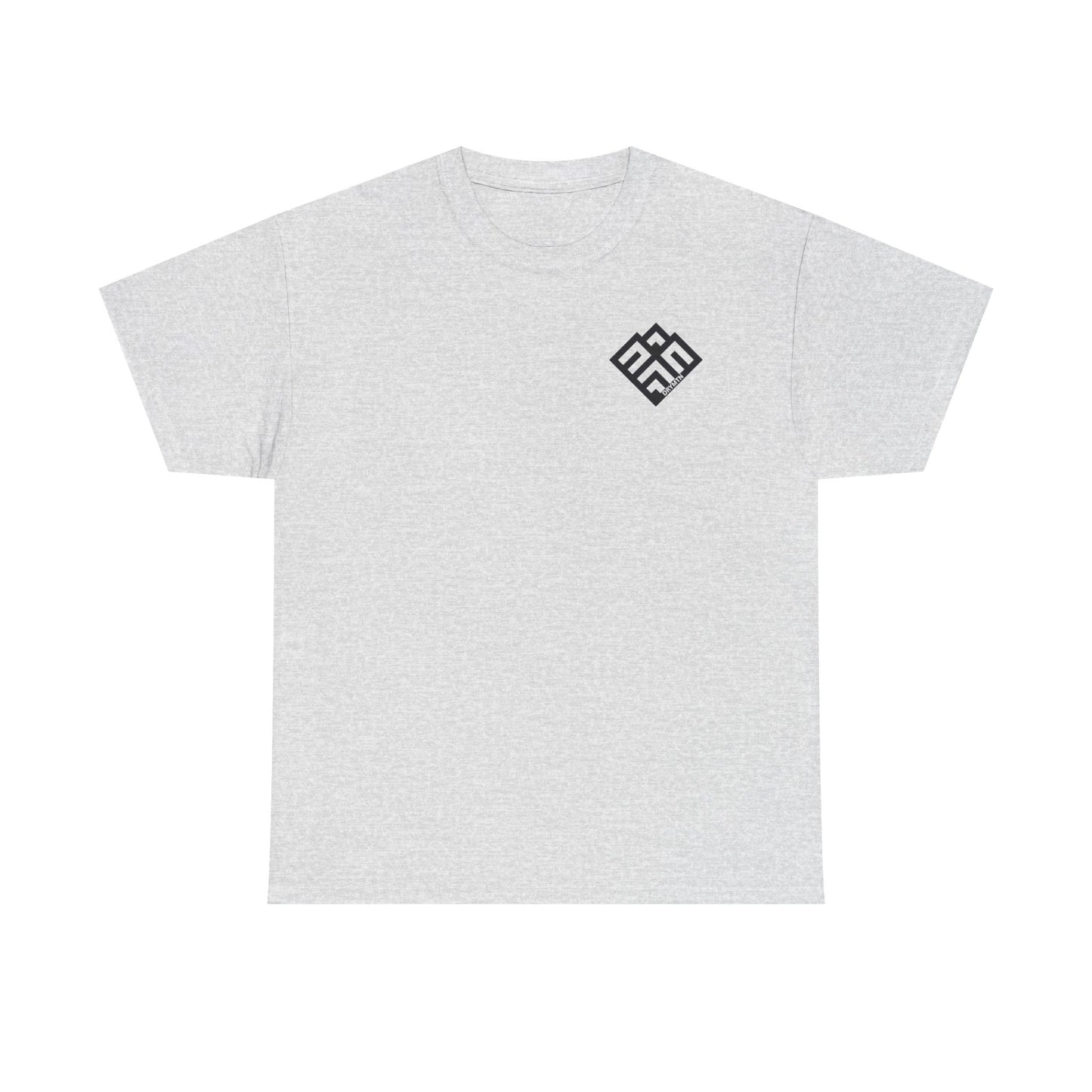 Basic T-Shirt Daily Wear Unisex Heavy Cotton Tee Simple DRYMTN Original