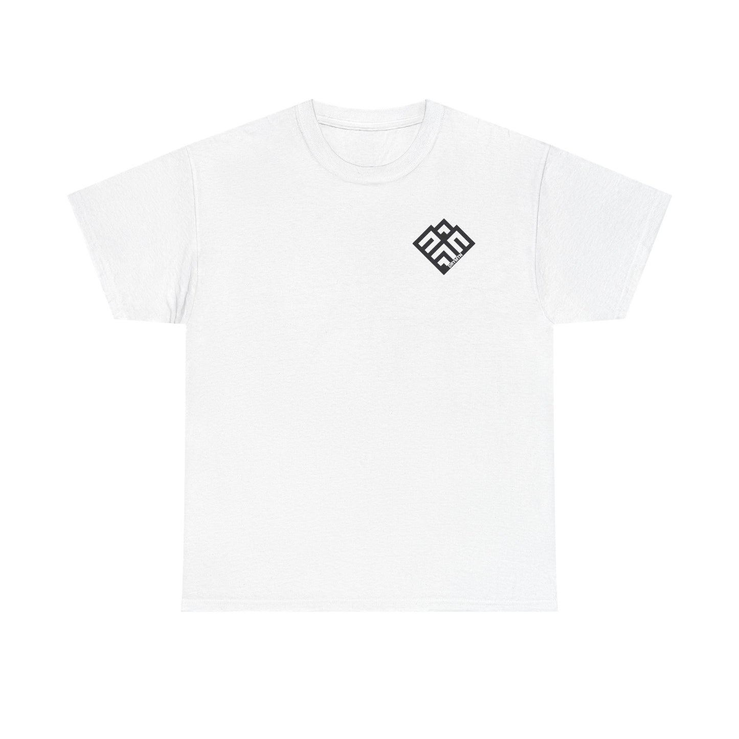 Basic T-Shirt Daily Wear Unisex Heavy Cotton Tee Simple DRYMTN Original