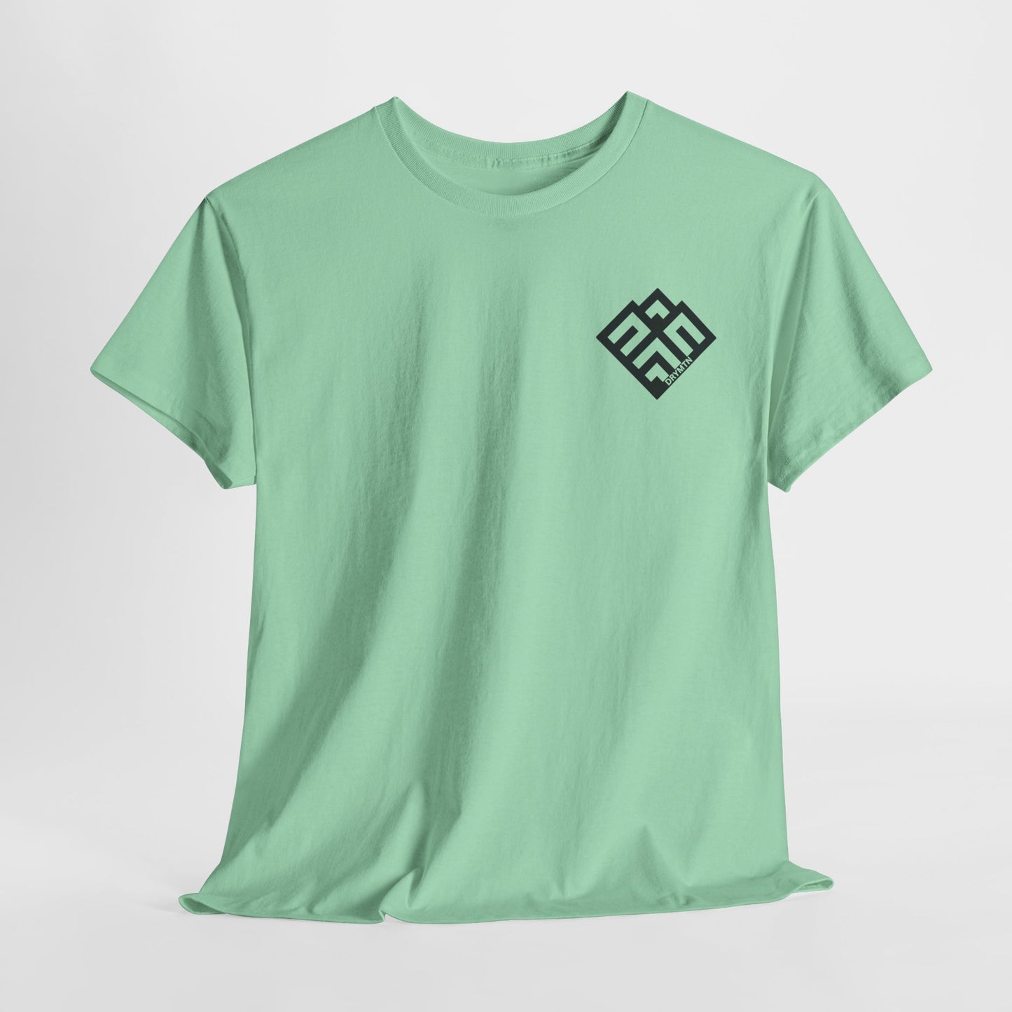 Basic T-Shirt Daily Wear Unisex Heavy Cotton Tee Simple DRYMTN Original