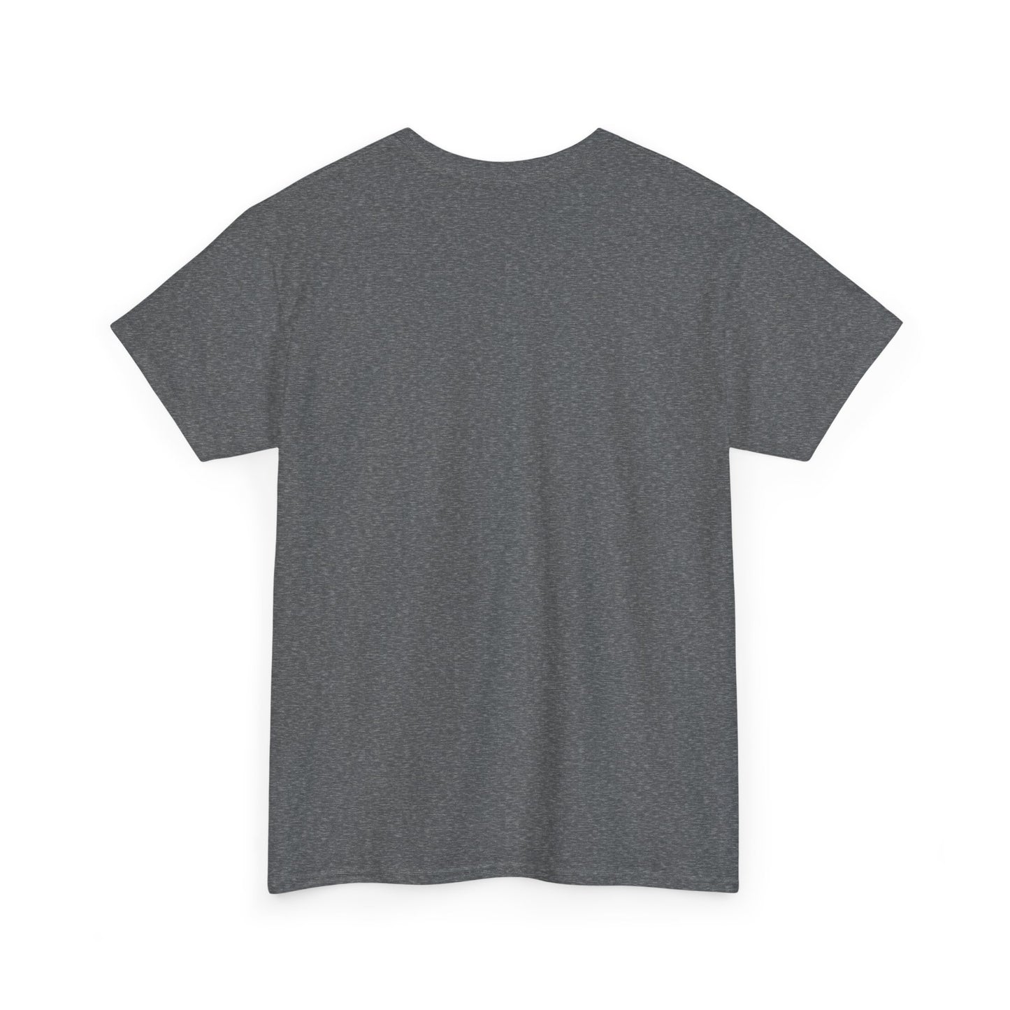 Basic T-Shirt Daily Wear Unisex Heavy Cotton Tee Simple DRYMTN Original