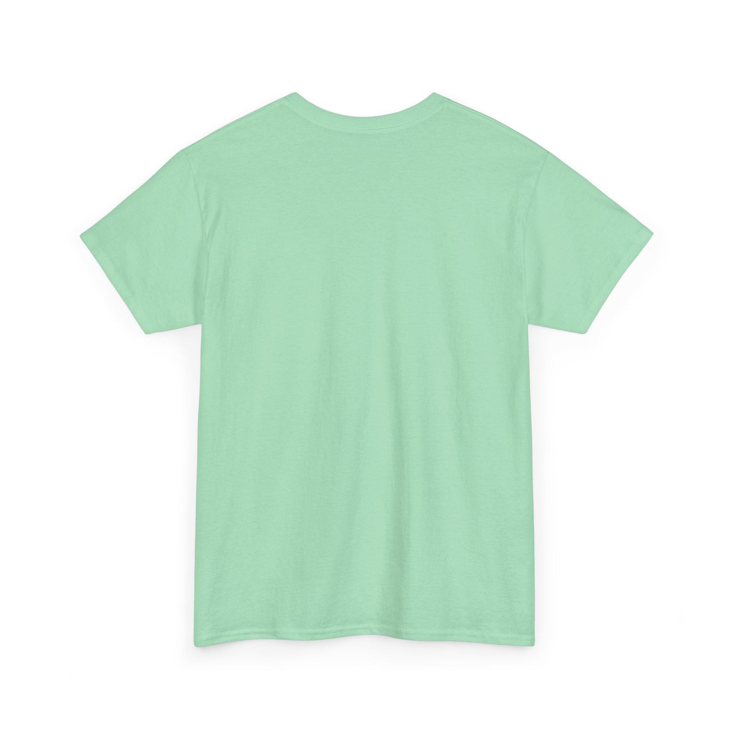 Basic T-Shirt Daily Wear Unisex Heavy Cotton Tee Simple DRYMTN Original