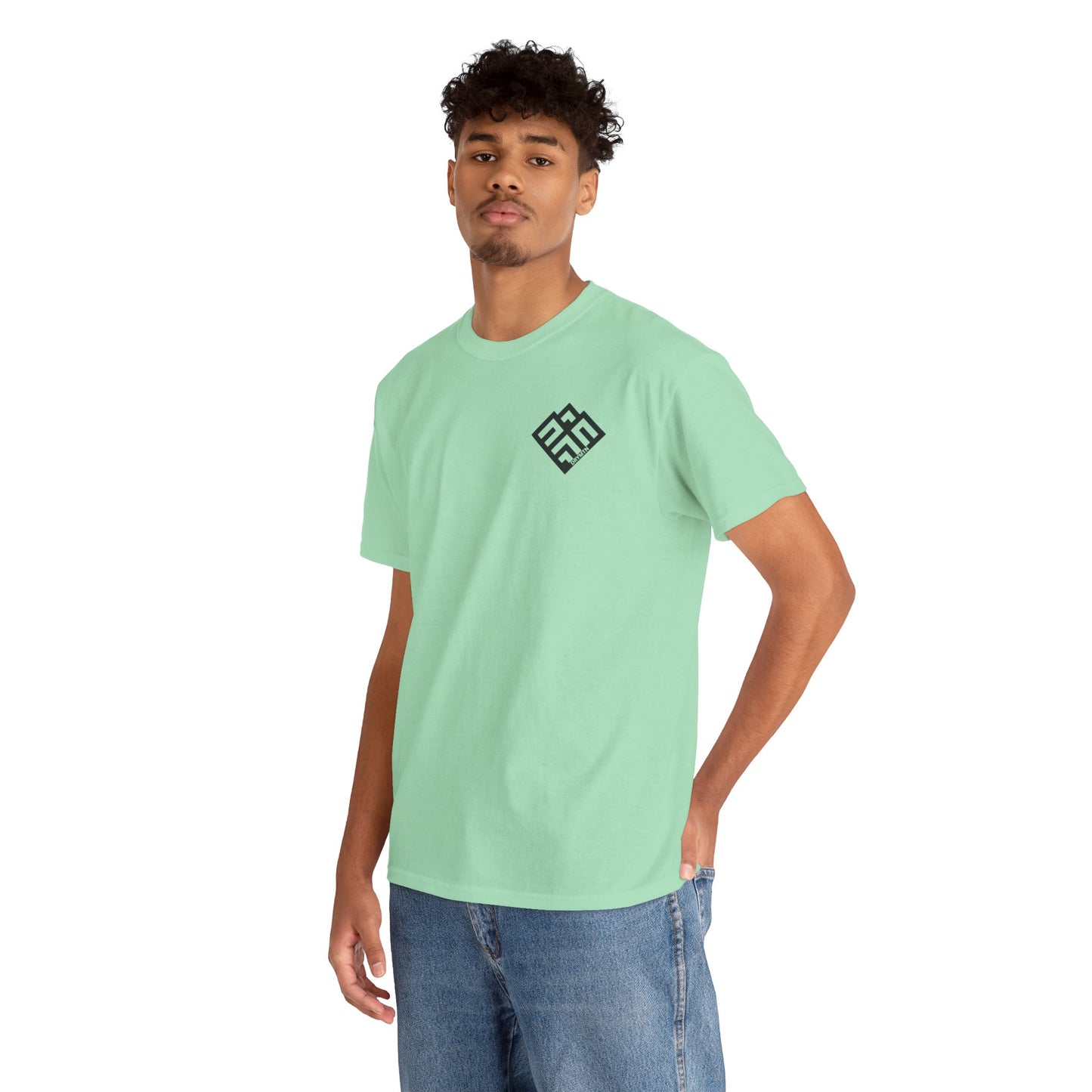 Basic T-Shirt Daily Wear Unisex Heavy Cotton Tee Simple DRYMTN Original