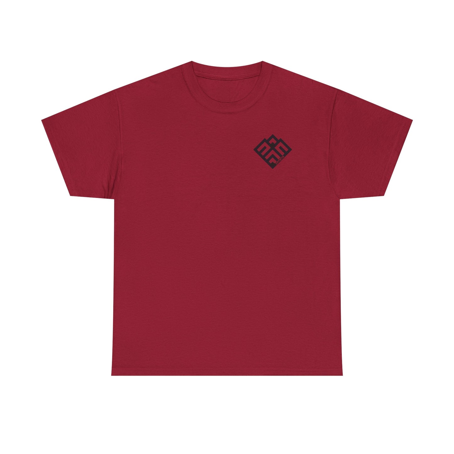 Basic T-Shirt Daily Wear Unisex Heavy Cotton Tee Simple DRYMTN Original