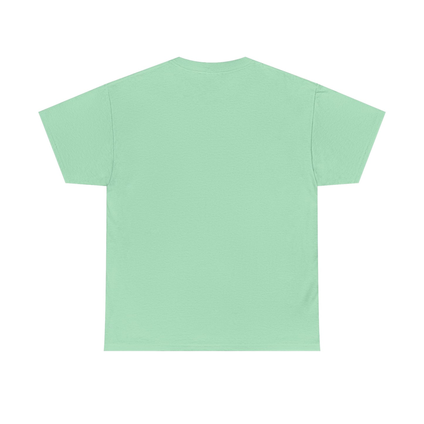 Basic T-Shirt Daily Wear Unisex Heavy Cotton Tee Simple DRYMTN Original