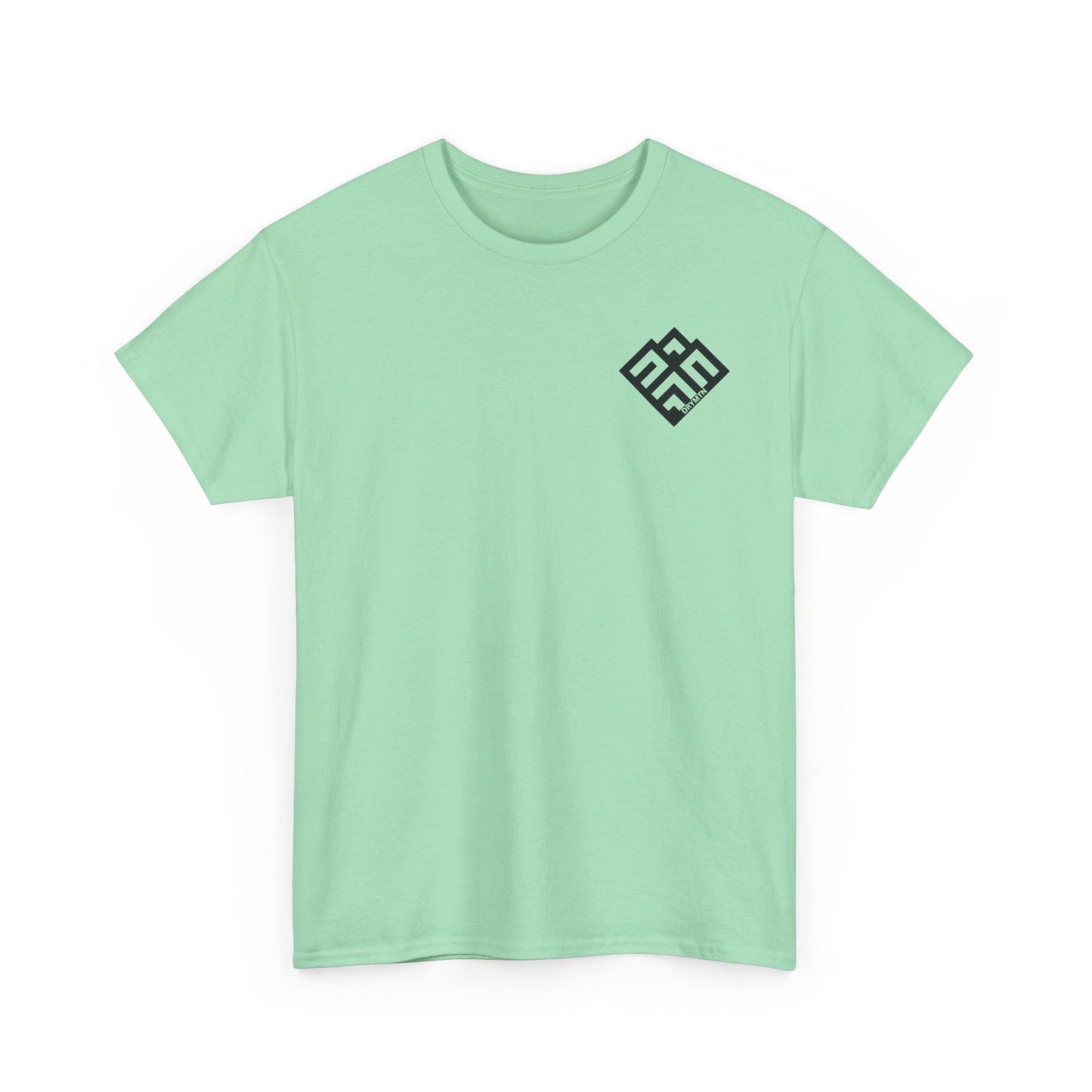 Basic T-Shirt Daily Wear Unisex Heavy Cotton Tee Simple DRYMTN Original