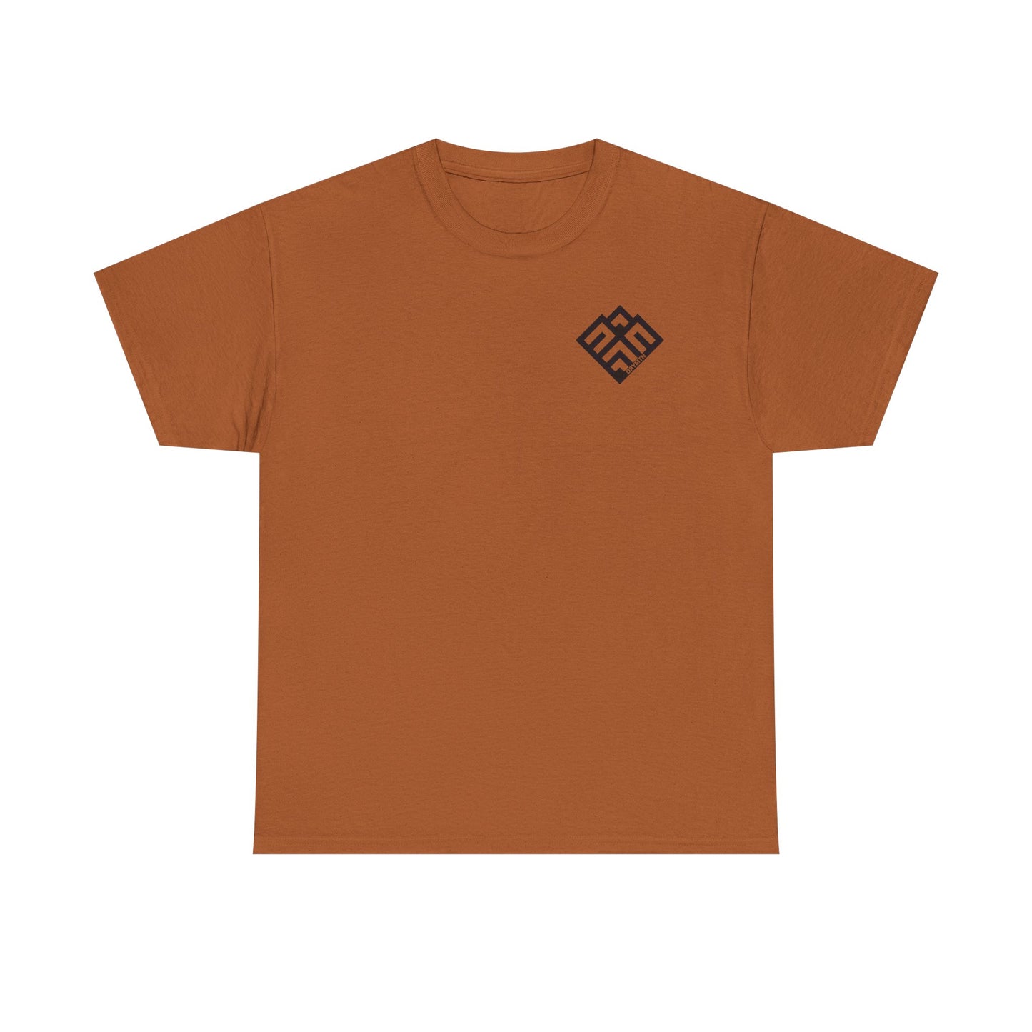 Basic T-Shirt Daily Wear Unisex Heavy Cotton Tee Simple DRYMTN Original