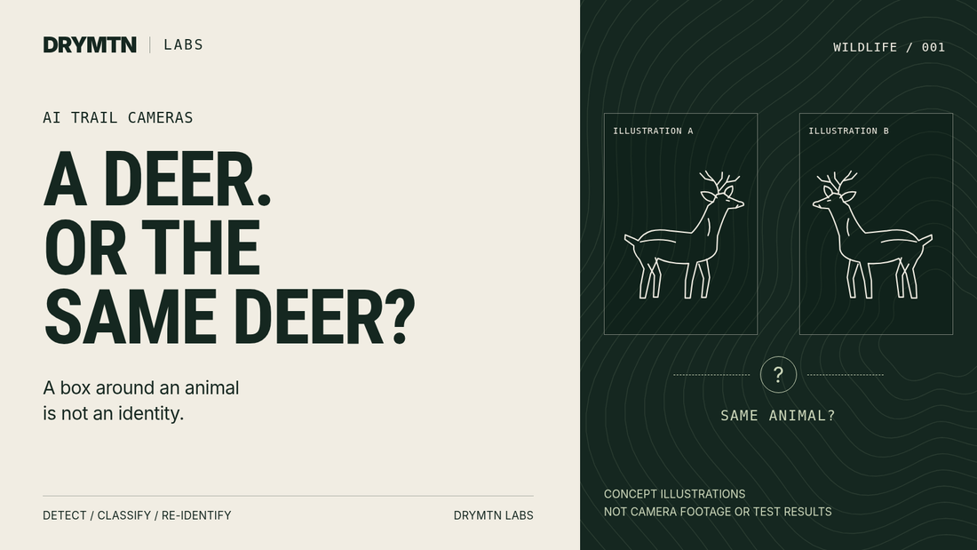 DRYMTN Labs: A deer, or the same deer? Two illustrated deer introduce detection, classification and individual recognition. Concept illustrations, not camera footage or test results.