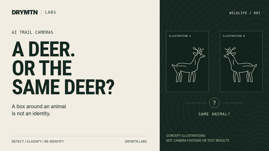 DRYMTN Labs: A deer, or the same deer? Two illustrated deer introduce detection, classification and individual recognition. Concept illustrations, not camera footage or test results.